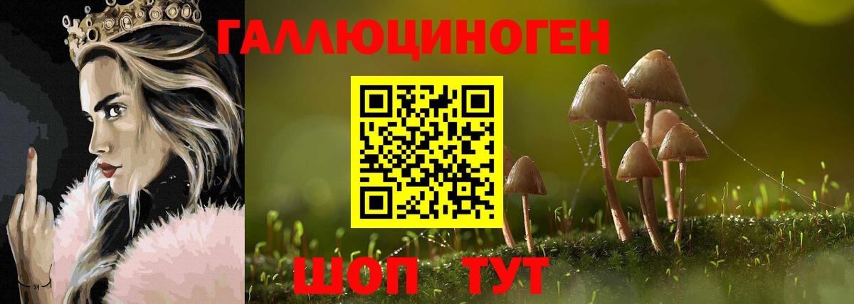 Галлюциногенные грибы прущие грибы  Вход с VPN  Саров 